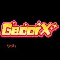 GACORX - Pertarungan Seru 1 Lawan 1